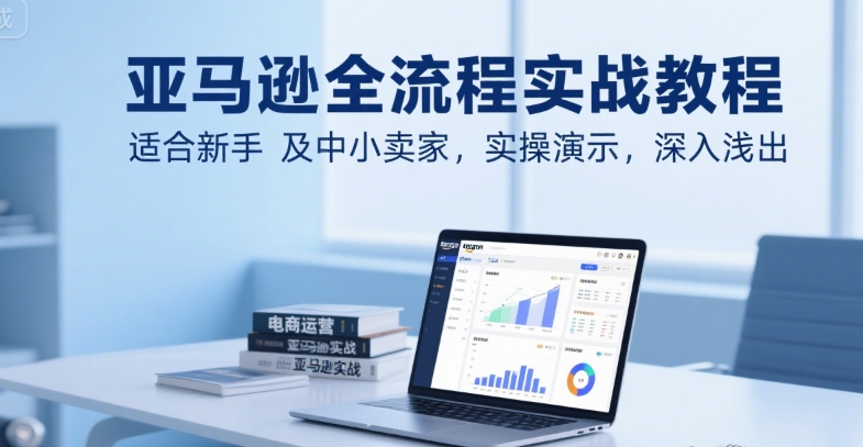亚马逊全流程实战教程，适合新手及中小卖家，实操演示，深入浅出-泱泱学习社