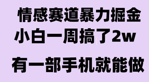 情感暴力掘金项目，新人操作一周挣了2W，长期稳定小白可做【揭秘】-泱泱学习社