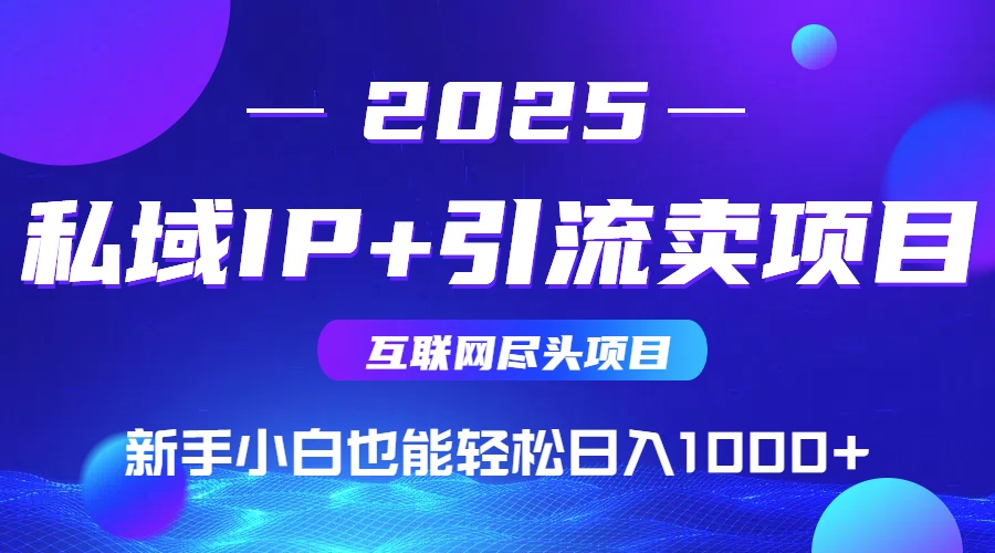 2025网创尽头项目，私域IP+引流，新手小白也能在家日入1000+-泱泱学习社