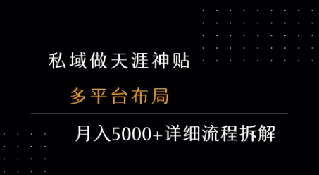 私域做天涯神贴 多平台布局 月入5k+详细流程拆解-泱泱学习社