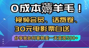 0成本薅羊毛!视频会员、话费卷、30元电影票白送,分享我如何靠转卖一天变现5张+【揭秘】-泱泱学习社