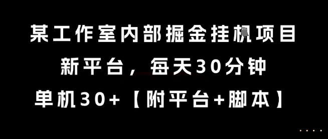某工作室内部掘金挂G项目，新平台，每天30分钟，单机30+【揭秘】-泱泱学习社