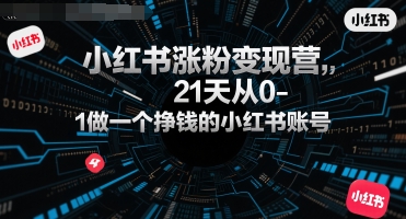 小红书涨粉变现营，21天从0-1做一个挣钱的小红书账号-泱泱学习社