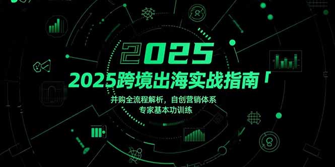 2025跨境出海实战指南，并购全流程解析，自创营销体系，专家基本功训练-泱泱学习社