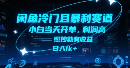闲鱼冷门且暴利赛道，小白当天开单，利润高，照抄就有收益，日入1k+【揭秘】-泱泱学习社