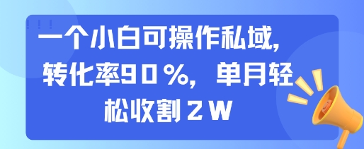 一个小白可操作私域，转化率90%，单月轻松收割2W-泱泱学习社