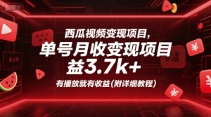 西瓜视频变现项目，单号月收益3.7k+，有播放就有收益(附详细教程)-泱泱学习社