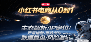 小红书电商从0到1：生态解析/IP定位/ 账号运营/爆款创作/直播带货/数据复盘/风险避坑-泱泱学习社