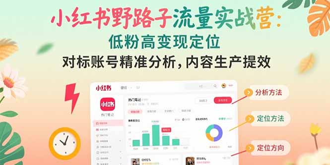 小红书野路子流量实战营：低粉高变现定位 对标账号精准分析 内容生产提效-泱泱学习社
