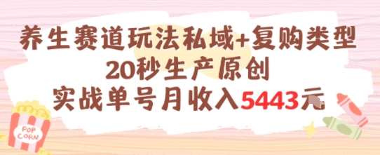 养生赛道玩法私域+复购类型，20秒生产原创实战单号月收入5k+-泱泱学习社