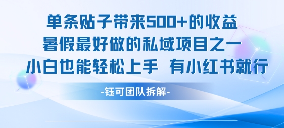 单条贴子带来5张的收益，暑假最好做的私域项目之一，小白也能轻松上手，有小红书就行-泱泱学习社