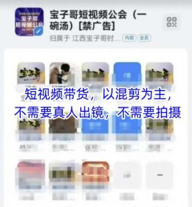 宝子哥头部团队短视频带货，以混剪为主，不需要真人出镜，不需要拍摄【更新6月】-泱泱学习社