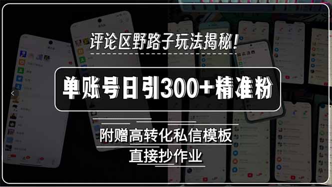 评论区野路子玩法揭秘！单账号日引300+精准粉，附赠高转化私信模板，直…-泱泱学习社