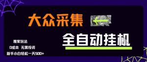 大众采集全自动玩法，新手小白轻松一天5张+，操作简单零成本【揭秘】-泱泱学习社