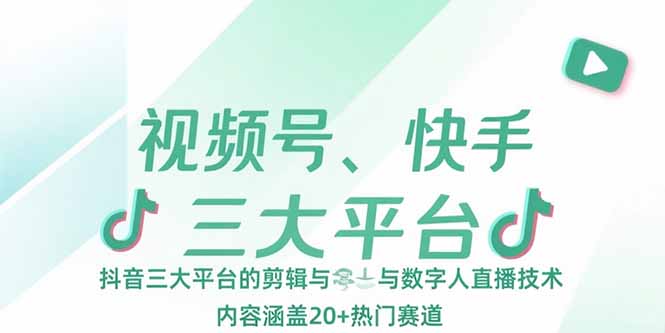 视频号、快手、抖音三大平台的剪辑与数字人直播技术，内容涵盖20+热门赛道-泱泱学习社