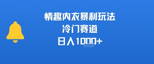 情趣内衣暴利玩法，冷门赛道，日入1k+-泱泱学习社