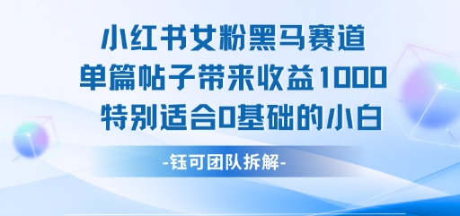 小红书女粉黑马赛道单篇帖子带来收益1k+，特别适合0基础的小白-泱泱学习社
