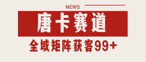 唐卡赛道私域引流获客 自热矩阵SOP日引流99+精准客资-泱泱学习社
