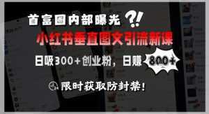 首富圈内部曝光小红书垂直图文引流新课,日吸300+创业粉,日入8张+,限时获取防封禁-泱泱学习社