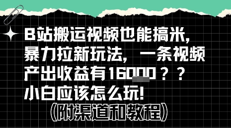 b站掘金计划？搬运视频也能挣拉新的收益，小白应该怎么玩！-泱泱学习社