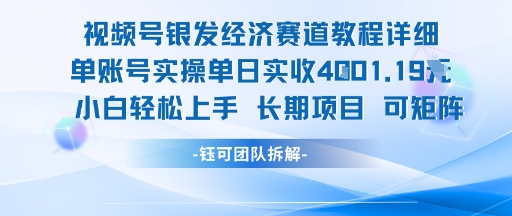 视频号银发经济赛道单账号实操单日实收1k+，小白轻松上手长期项目-泱泱学习社