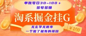 淘系掘金挂G项目，单账号日收益30~100+，多号多得，一个做了就有的项目【揭秘】-泱泱学习社