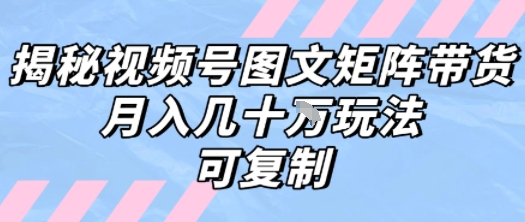 解密视频号图文矩阵带货，月入几个W的打法，可复制-泱泱学习社