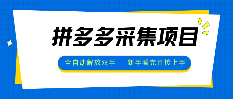 拼多多采集项目，全自动解放双手，单号日入30+-泱泱学习社