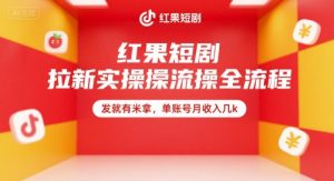 红果短剧拉新实操全流程，发就有米拿，单账号月收入几k-泱泱学习社