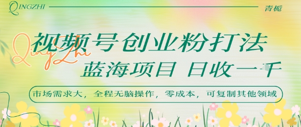 视频号创业粉打法，日入1k，蓝海项目，市场需求大，全程无脑操作，可复制-泱泱学习社