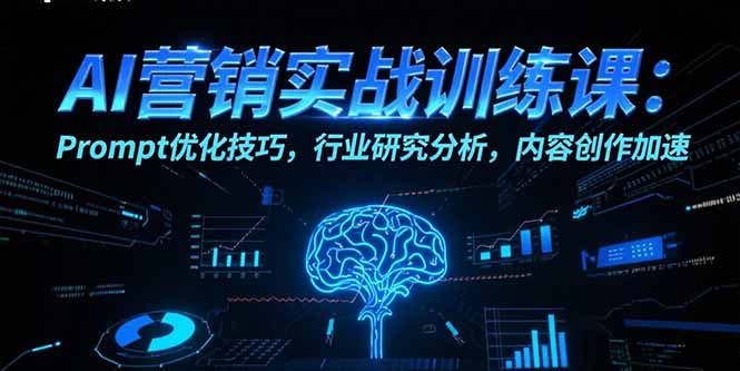 AI营销实战训练课：Prompt优化技巧，行业研究分析，内容创作加速-泱泱学习社
