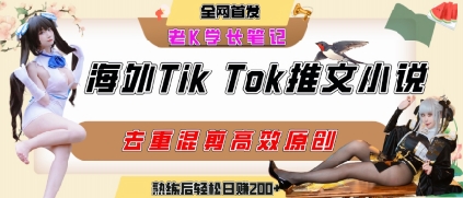 海外tiktok小说推文暴力项目，高停留率，高转化率，上手后一天搞顿饭钱不是问题-泱泱学习社