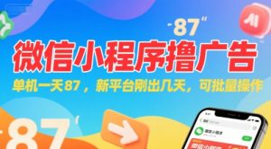 微信小程序看广告，单机一天87，新平台刚出几天，可批量操作，日入5张-泱泱学习社