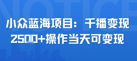 小众蓝海项目，千播变现2.5k+操作当天可变现-泱泱学习社