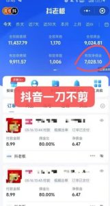 抖音短视频一刀不剪带货，不剪辑，不直播，每天发个视频，等着出单获取带货佣金-泱泱学习社