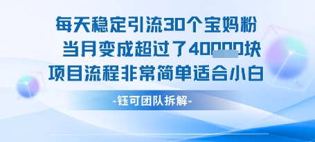每天稳定引流30个人 当月变成超过了4个W项目流程非常简单适合小白-泱泱学习社