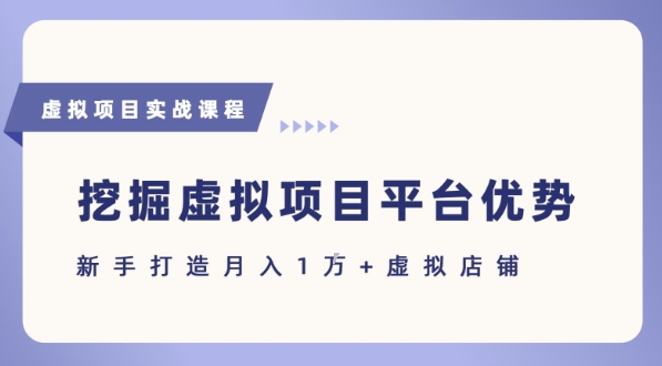 抓住虚拟项目各平台优势，新手轻松月入1W+(给出具体建议)-泱泱学习社
