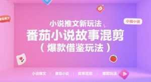 小说推文新玩法，番茄小说故事混剪(爆款借鉴玩法)-泱泱学习社