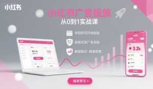 小红书广告投放从0到1的实战课，学完即可开始投放，拒绝无效广告消耗-泱泱学习社