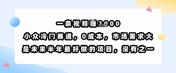 一条视频挣1k，小众冷门赛道，0成本，市场需求大，是未来半年最好做的项目，没有之一-泱泱学习社