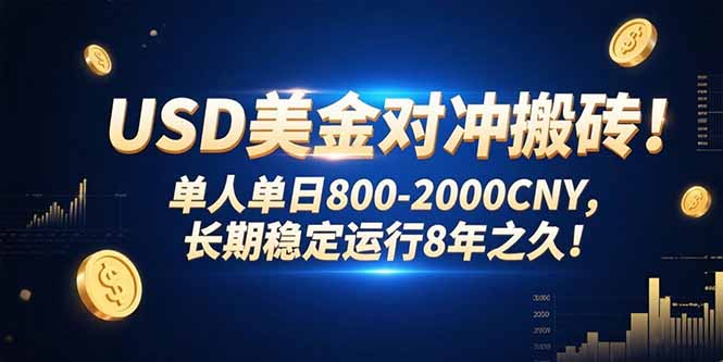 USD美金对冲搬砖!单人单日800-2000CNY，长期稳定运行8年之久!-泱泱学习社