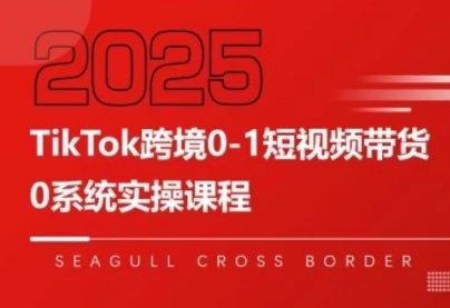 大亿老师·TikTok跨境0-1短视频带货-泱泱学习社