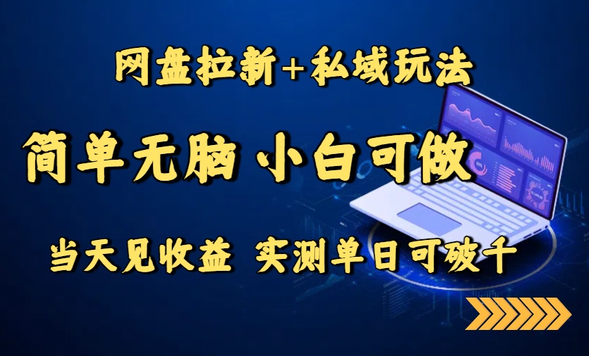 网盘拉新+私域玩法，简单无脑，小白可做，当天见收益，实测单日可破千-泱泱学习社
