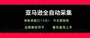 亚马逊全自动采集，单机单窗口一天10+，可无限矩阵去做【揭秘】-泱泱学习社