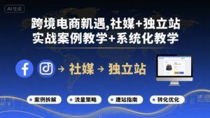 跨境电商新机遇，社媒+独立站，实战案例教学+系统化教学-泱泱学习社