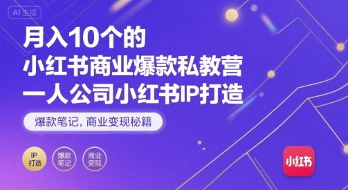 月入10个的小红书商业爆款私教营，一人公司小红书IP打造，爆款笔记，商业变现秘籍-泱泱学习社