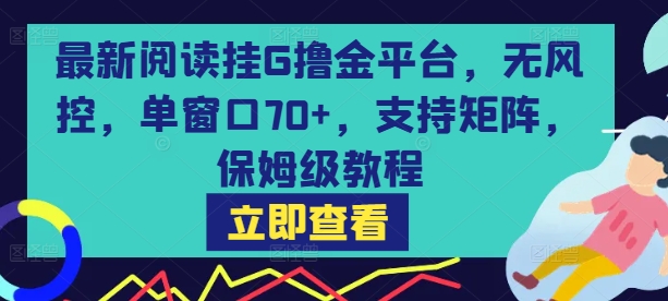 最新阅读挂G撸金平台，无风控，单窗口70+，支持矩阵，保姆级教程【揭秘】-泱泱学习社