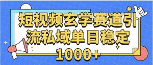玄学赛道引流私域变现单日稳定1000+教程-泱泱学习社