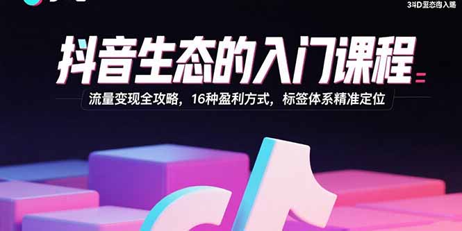 抖音生态的入门课程：流量变现全攻略，16种盈利方式，标签体系精准定位-泱泱学习社