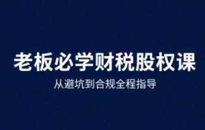唐老师·25年企业财税与股权实战课-泱泱学习社